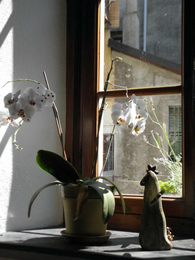 Al vicolo del Gallo Varallo Esterno foto